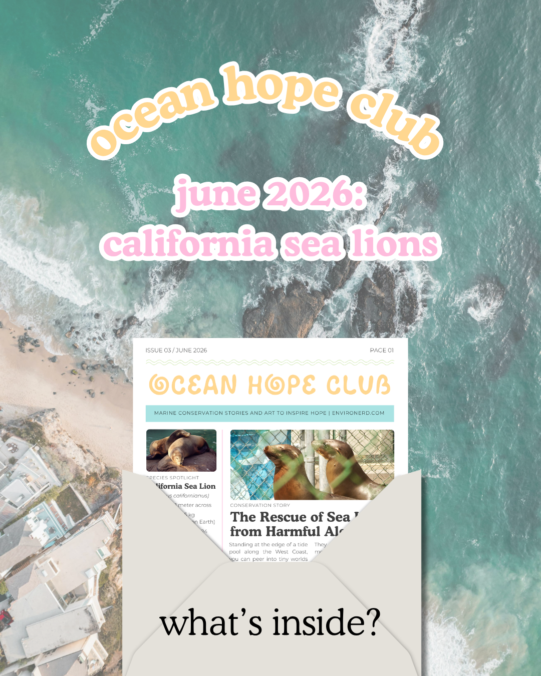 Archive: Ocean Hope Club Back-Issues