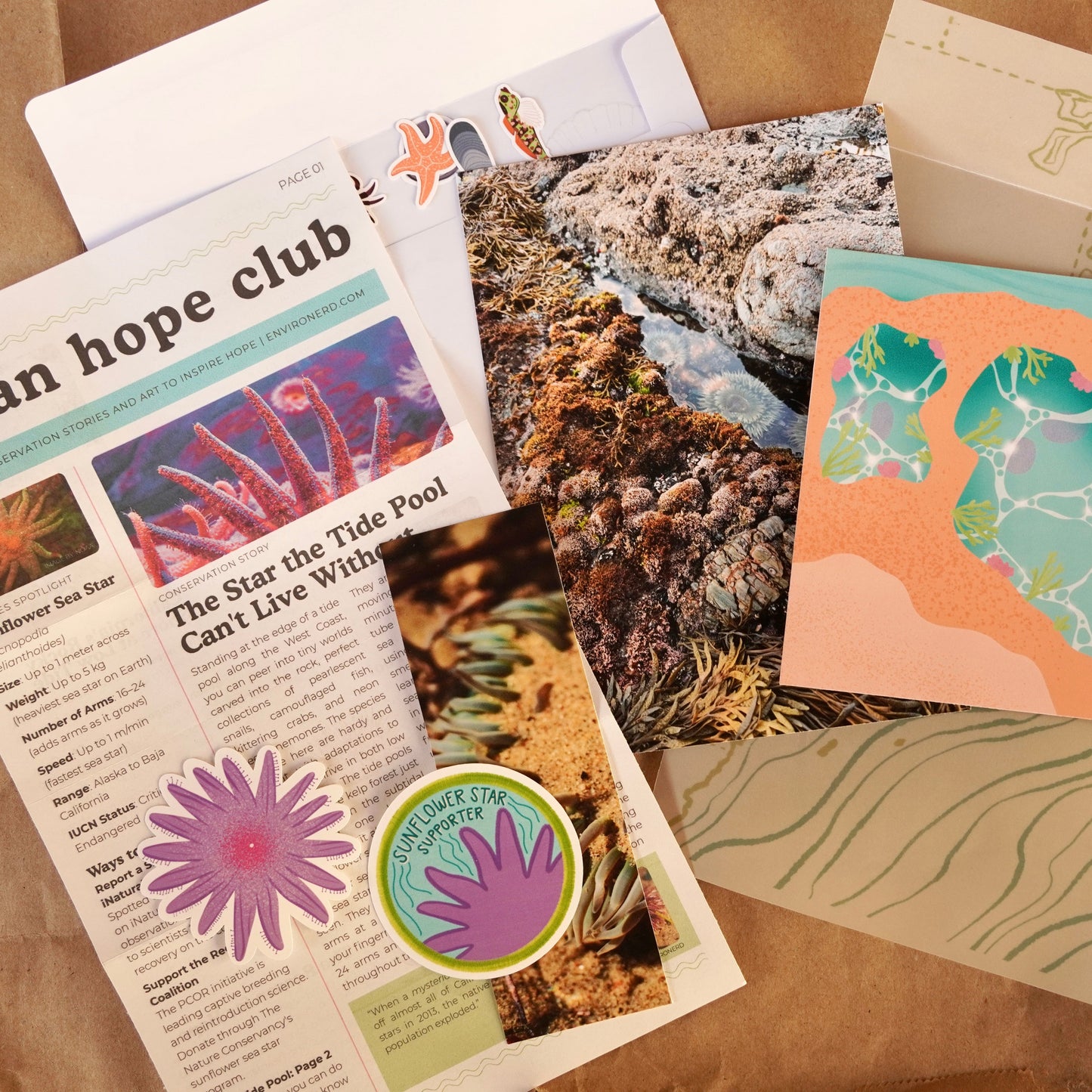 Ocean Hope Club: Monthly Subscription